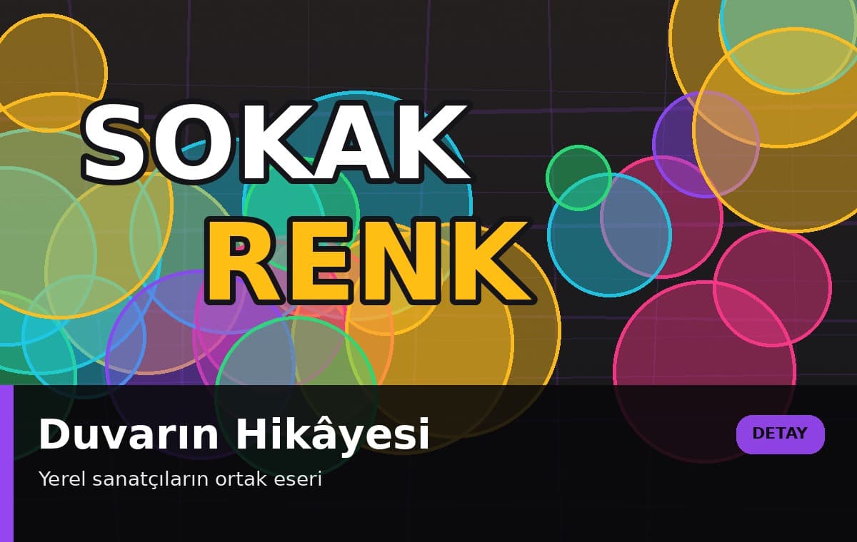 Renkli Duvar görsel 2